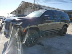 Cadillac salvage cars for sale: 2023 Cadillac Escalade Sport