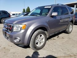Ford salvage cars for sale: 2008 Ford Escape HEV