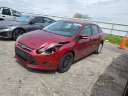 Ford Focus SE salvage cars for sale: 2013 Ford Focus SE