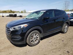 Hyundai salvage cars for sale: 2017 Hyundai Tucson SE