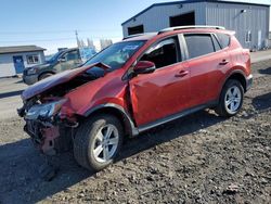 Salvage cars for sale from Copart Airway Heights, WA: 2014 Toyota Rav4 XLE