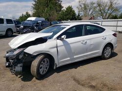 Hyundai Elantra salvage cars for sale: 2020 Hyundai Elantra SE