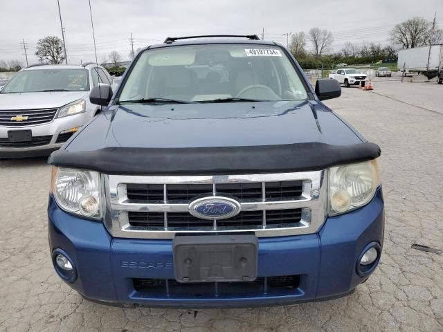 2008 Ford Escape XLT