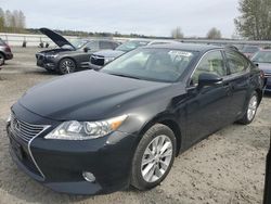 2013 Lexus ES 300H en venta en Arlington, WA