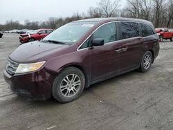 Honda salvage cars for sale: 2012 Honda Odyssey EXL