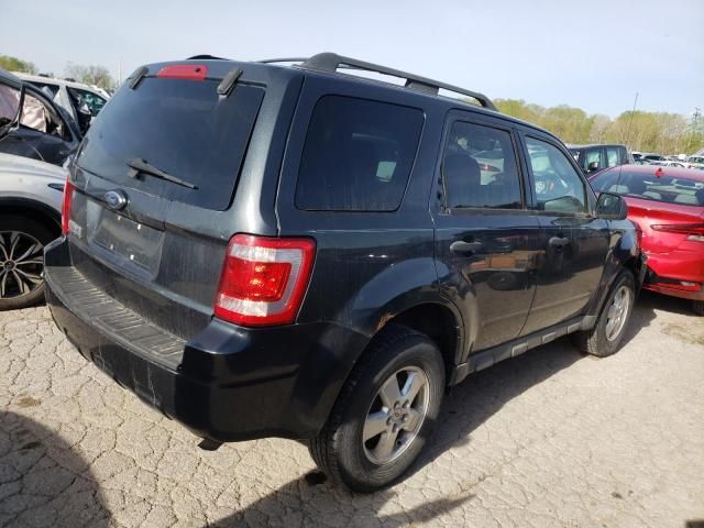 2009 Ford Escape XLT