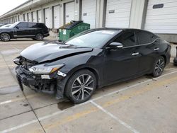 2021 Nissan Maxima SV for sale in Louisville, KY