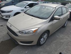 Ford Focus SE salvage cars for sale: 2017 Ford Focus SE