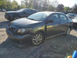 Toyota Corolla Vehiculos salvage en venta: 2010 Toyota Corolla Base