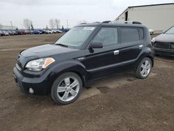 Salvage cars for sale from Copart Rocky View County, AB: 2010 KIA Soul +