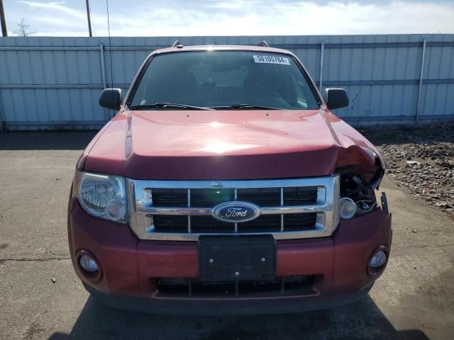 2012 Ford Escape XLT