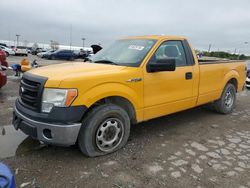 Ford F150 salvage cars for sale: 2013 Ford F150