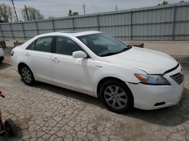 2009 Toyota Camry Hybrid