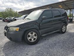 2006 Ford Escape XLT for sale in Cartersville, GA