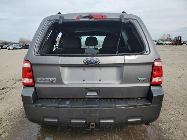 2010 Ford Escape XLT