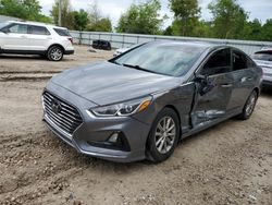 Salvage cars for sale from Copart Midway, FL: 2019 Hyundai Sonata SE