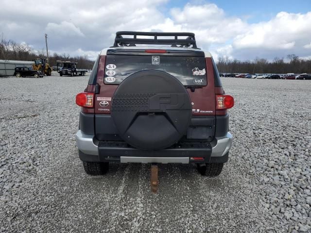 2010 Toyota FJ Cruiser