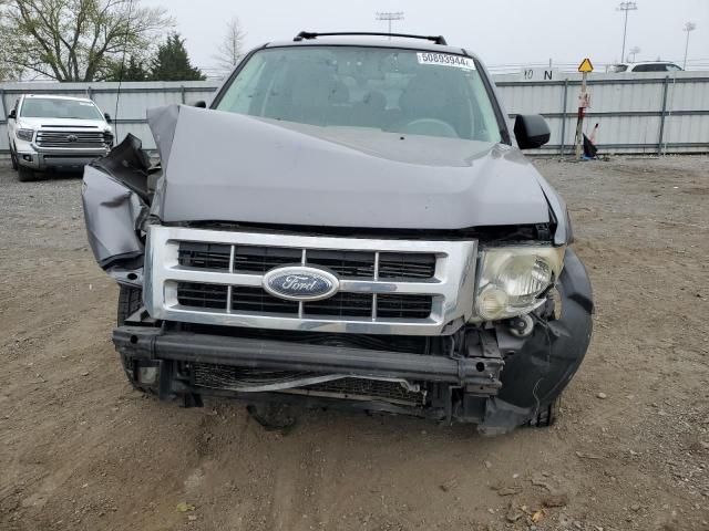 2008 Ford Escape XLT