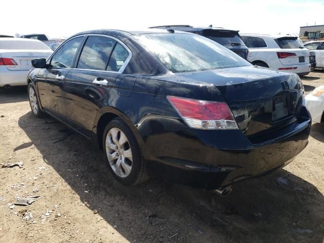 2008 Honda Accord EXL