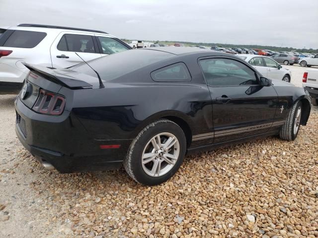 2013 Ford Mustang