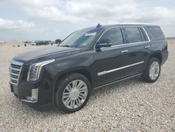 Salvage cars for sale from Copart New Braunfels, TX: 2019 Cadillac Escalade Platinum