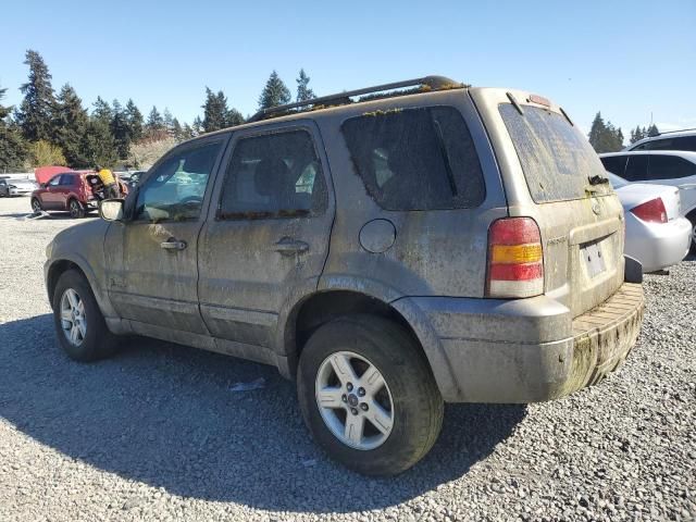 2007 Ford Escape HEV