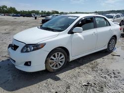 2010 Toyota Corolla Base en venta en Cahokia Heights, IL