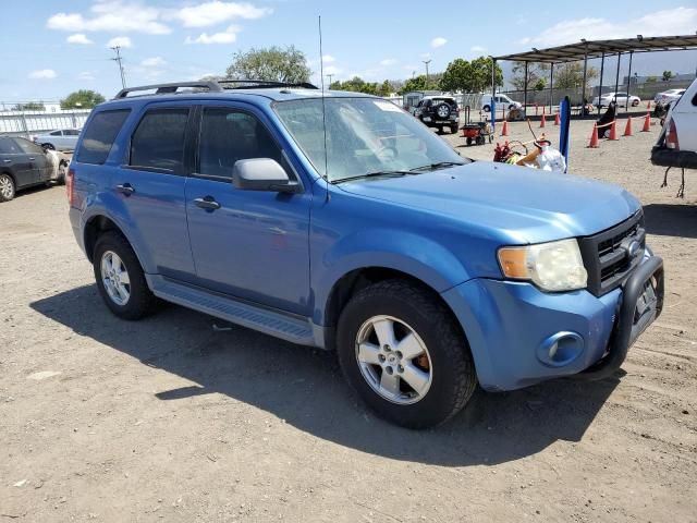 2009 Ford Escape XLT