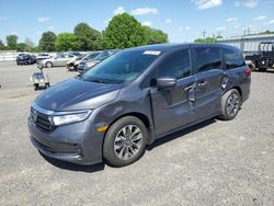 Honda salvage cars for sale: 2024 Honda Odyssey EXL