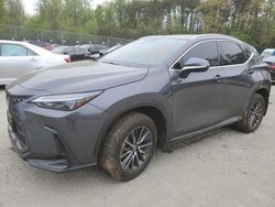 2022 Lexus NX 350H for sale in Waldorf, MD