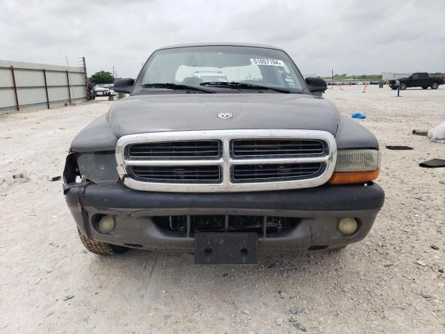 2004 Dodge Dakota Quad Sport