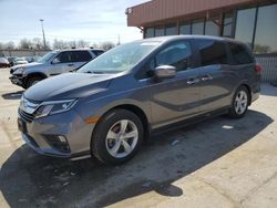 2019 Honda Odyssey EX for sale in Fort Wayne, IN