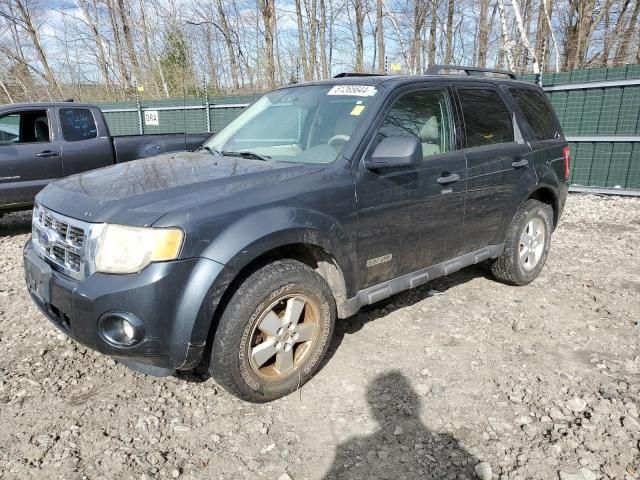 2008 Ford Escape XLT