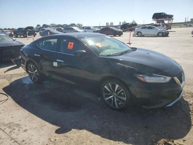 2019 Nissan Maxima S