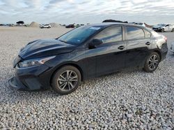 Salvage cars for sale from Copart Temple, TX: 2023 KIA Forte LX