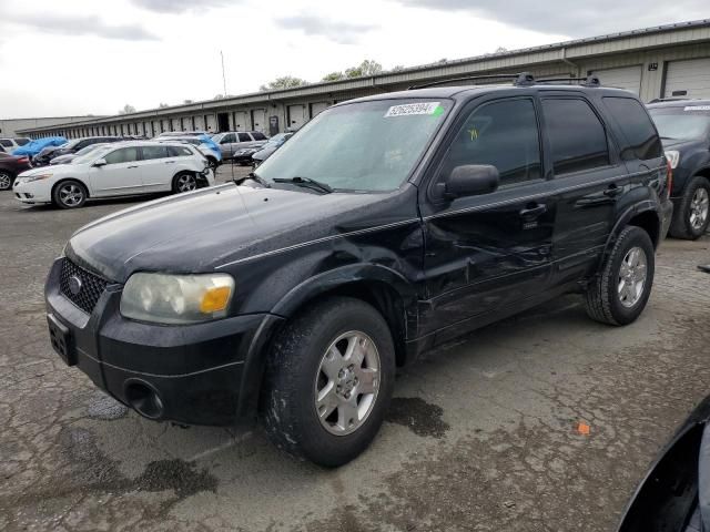 2007 Ford Escape Limited