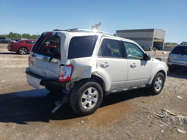 2011 Ford Escape Limited