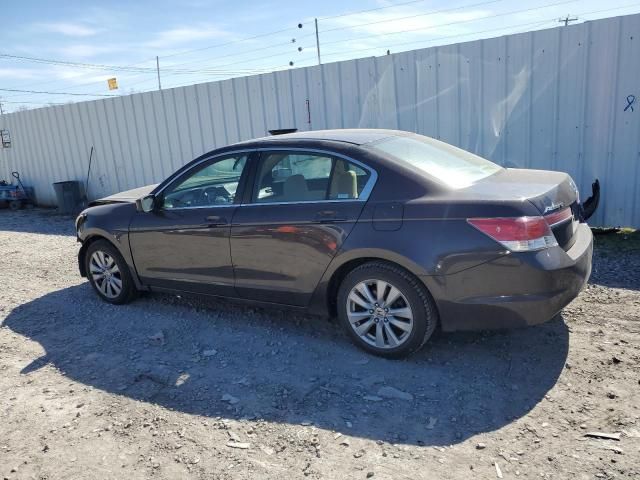 2011 Honda Accord EX