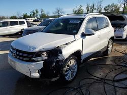 Volkswagen Tiguan s salvage cars for sale: 2013 Volkswagen Tiguan S