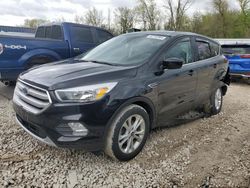 2019 Ford Escape SE for sale in Franklin, WI