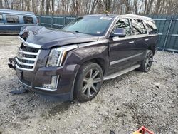 2015 Cadillac Escalade Luxury for sale in Candia, NH