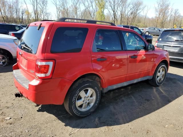 2009 Ford Escape XLT