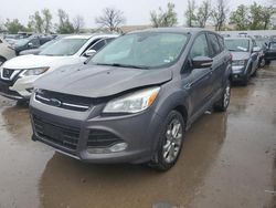 Ford Escape sel Vehiculos salvage en venta: 2013 Ford Escape SEL