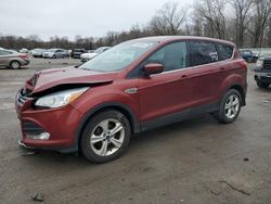 Ford Escape salvage cars for sale: 2016 Ford Escape SE