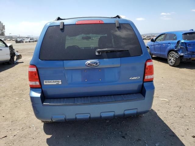 2009 Ford Escape XLT