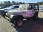 1991 Jeep Wrangler / YJ S