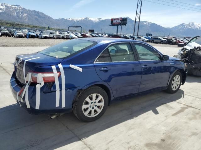 2009 Toyota Camry Hybrid