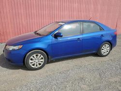 KIA salvage cars for sale: 2010 KIA Forte LX