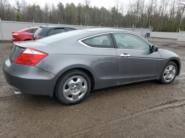 2010 Honda Accord EXL