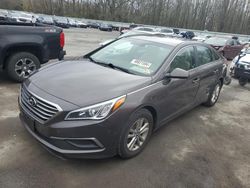 2017 Hyundai Sonata SE for sale in Glassboro, NJ